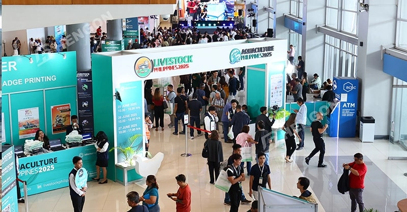 HENGON brille à Livestock Philippines 2025 : Points forts de l'exposition et visites clients