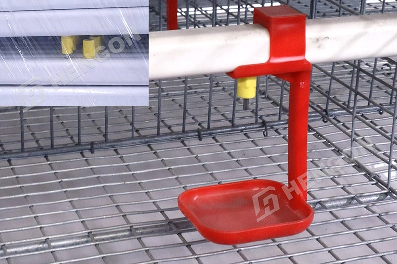 Équipement intelligent pour l'élevage de poulets de chair pour une meilleure croissance Équipement intelligent pour l'élevage de poulets de chair pour une meilleure croissance